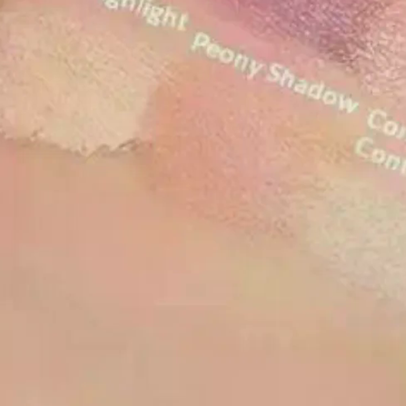 Beauty Makeup Eyeshadow Palette - Palette de fards à paupières velours