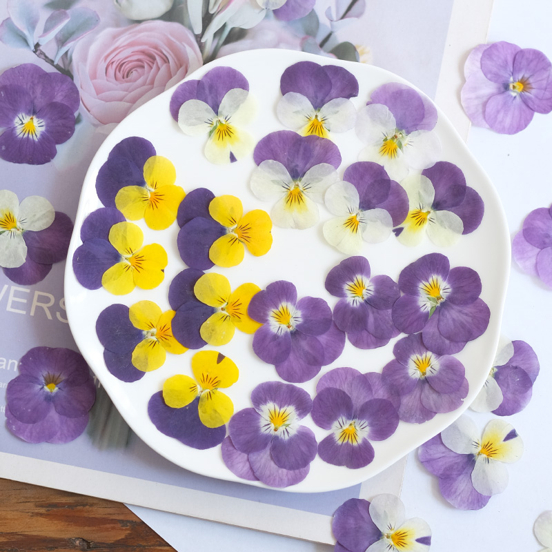 12 pièces, nature pensée fleur - Photo Beauty Makeup avis et prix