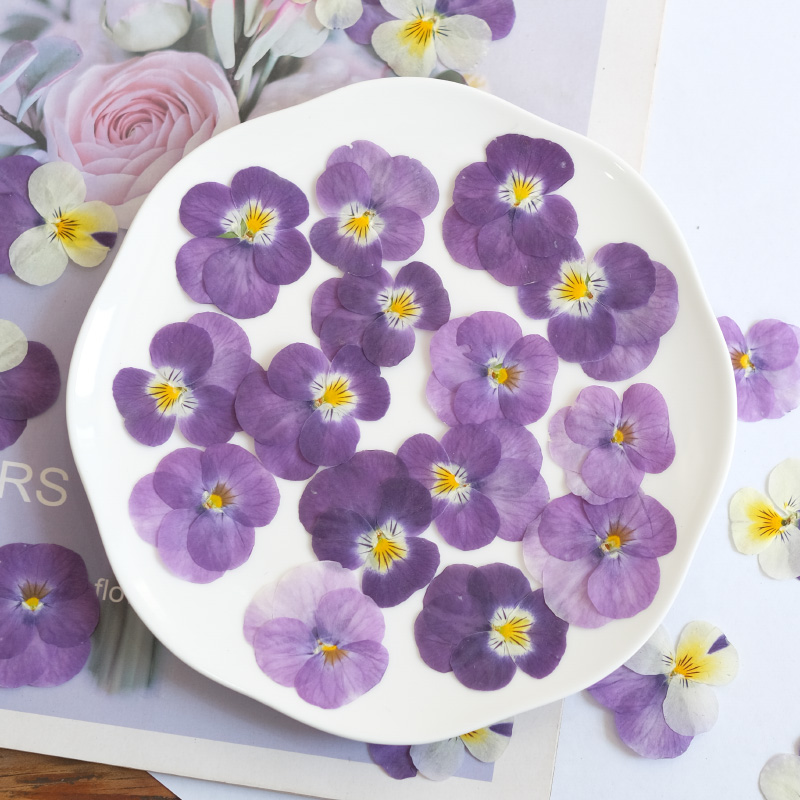 12 pièces, nature pensée fleur - Photo Beauty Makeup avis et prix